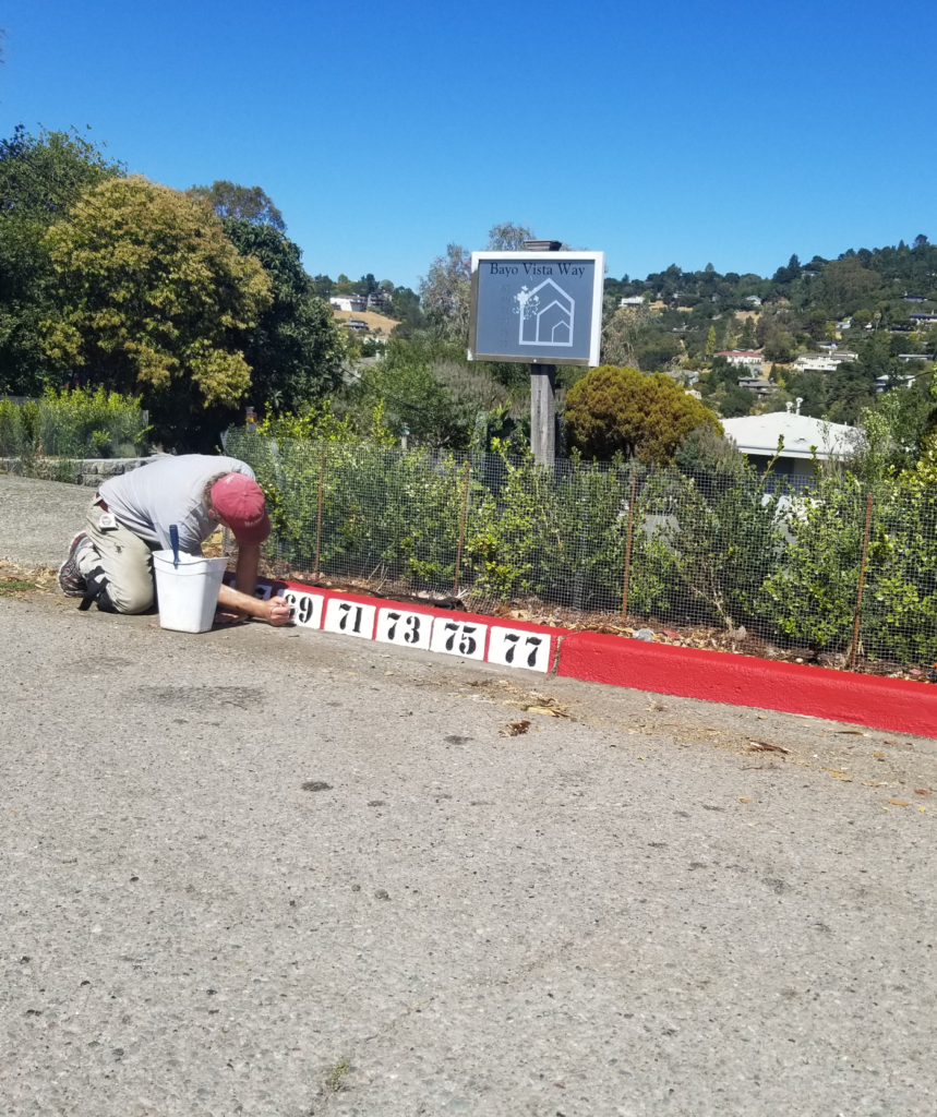Enhance Community Aesthetics with Professional Curb Number Painting Services